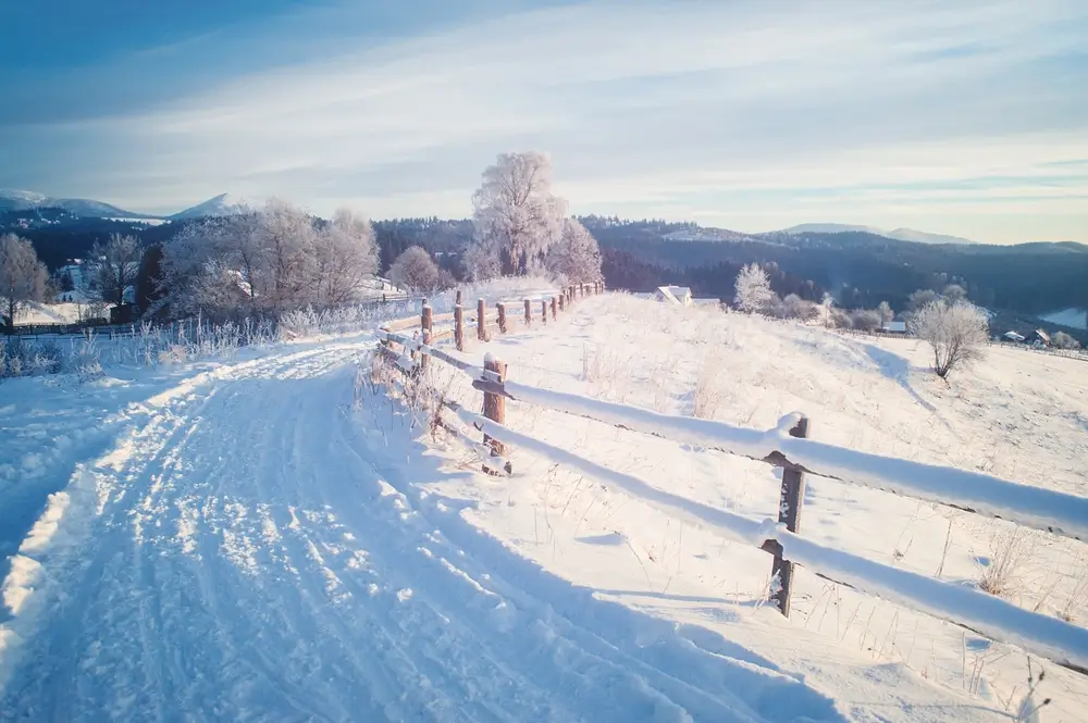 shutterstock_2518860809 - Techsvět zasněžená krajina