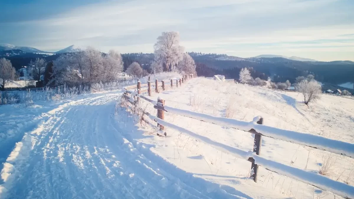Zasněžená krajina