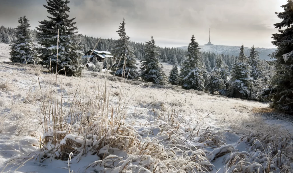 shutterstock_343233959 - Techsvět zasněžená krajina