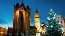Vánoční strom v Hradci Králové.