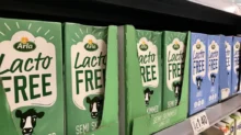 bezlaktózová mléka v regálu obchodníka