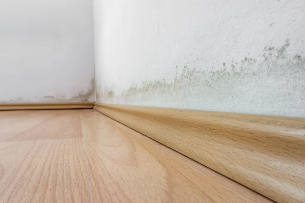Klimatizace vás ochrání i před vznikem plísní, FOTO: Shutterstock - Techsvět Plíseň na stěně