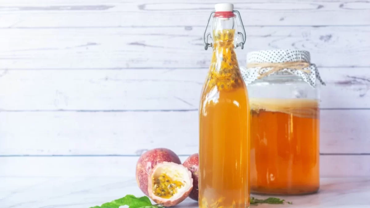kombucha na bílém pozadí