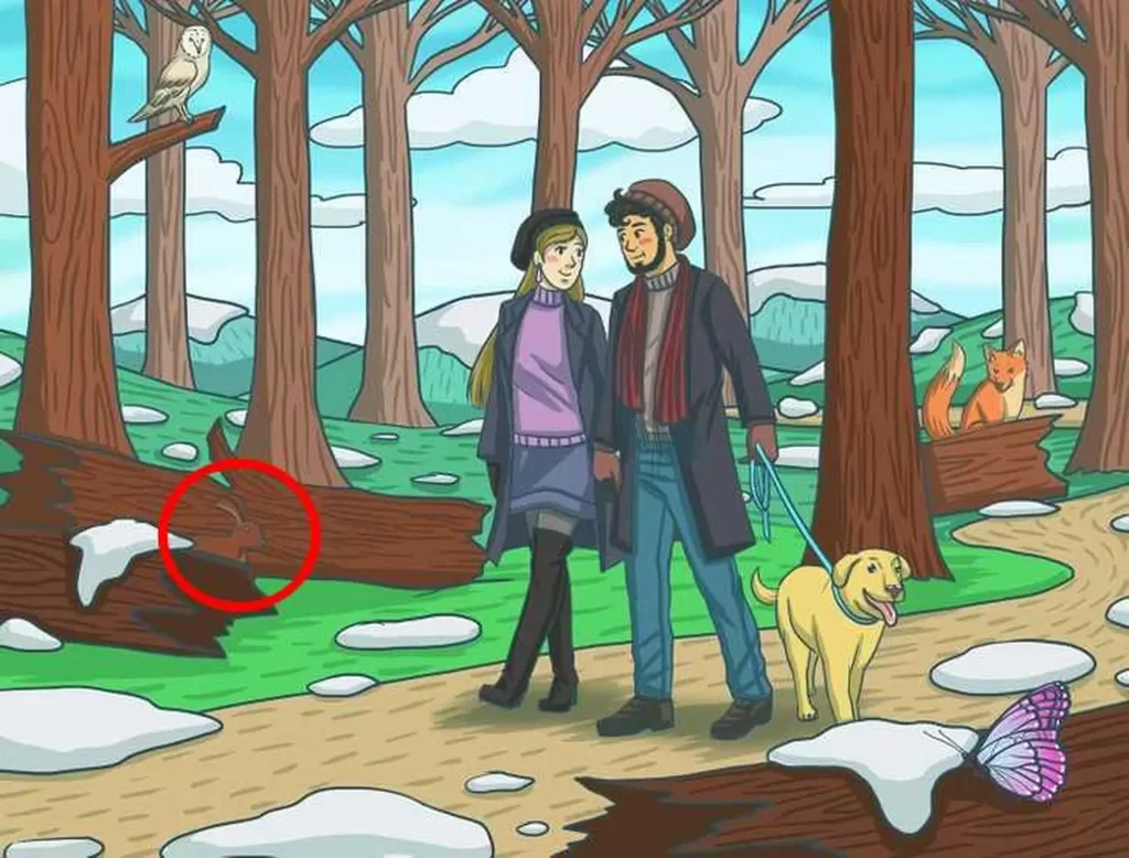find the rabbit solved - Techsvět Optická iluze Najdi králíka