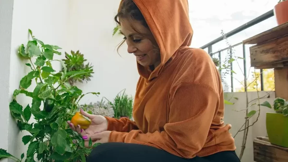 Žena na balkoně pěstující papriku