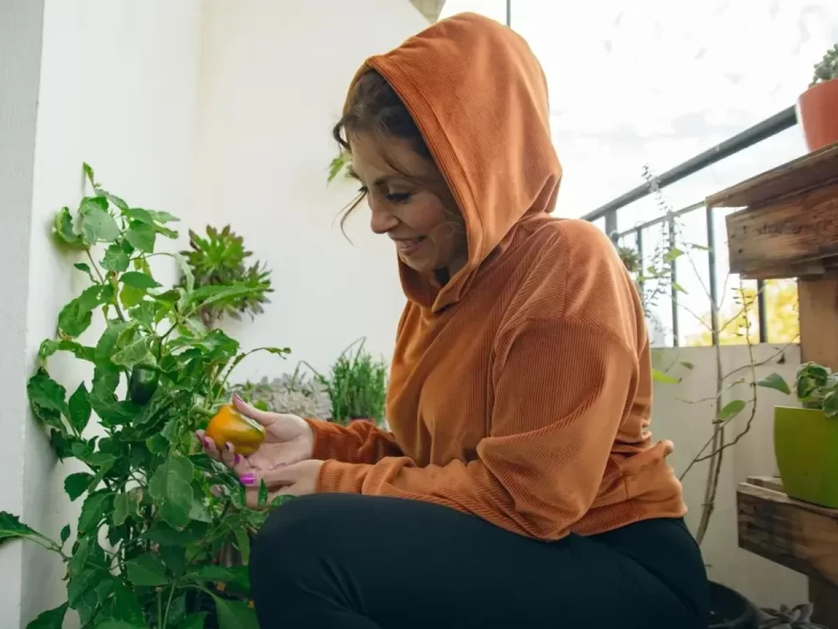 Žena na balkoně pěstující papriku