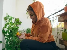 Žena na balkoně pěstující papriku