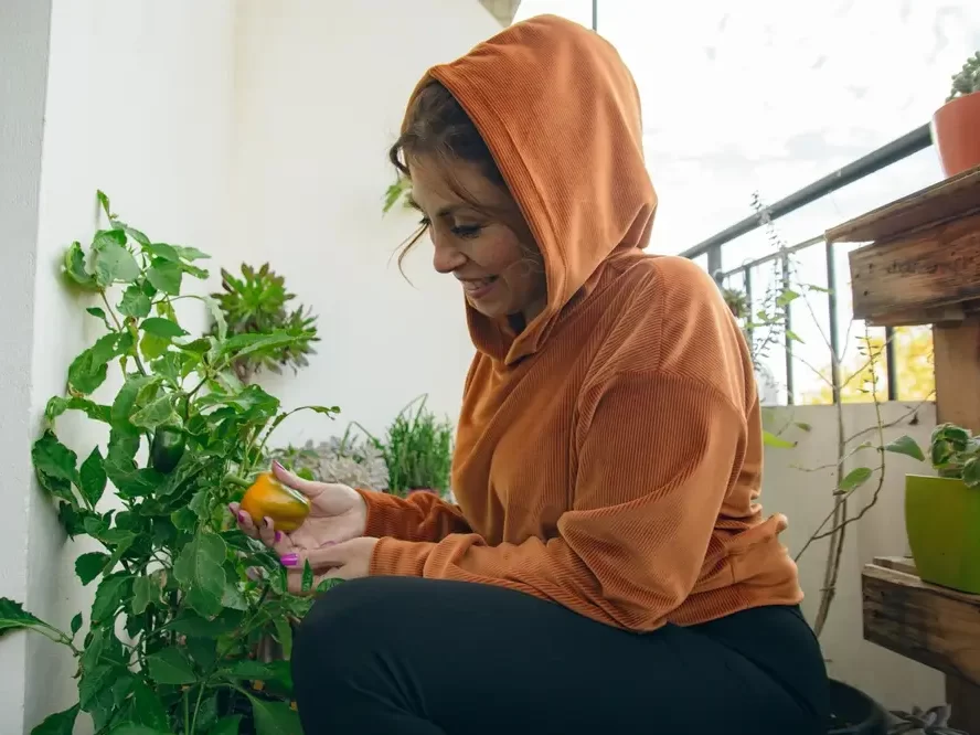 Žena na balkoně pěstující papriku