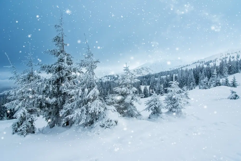 shutterstock_2531350247 - Techsvět Zasněžená krajina