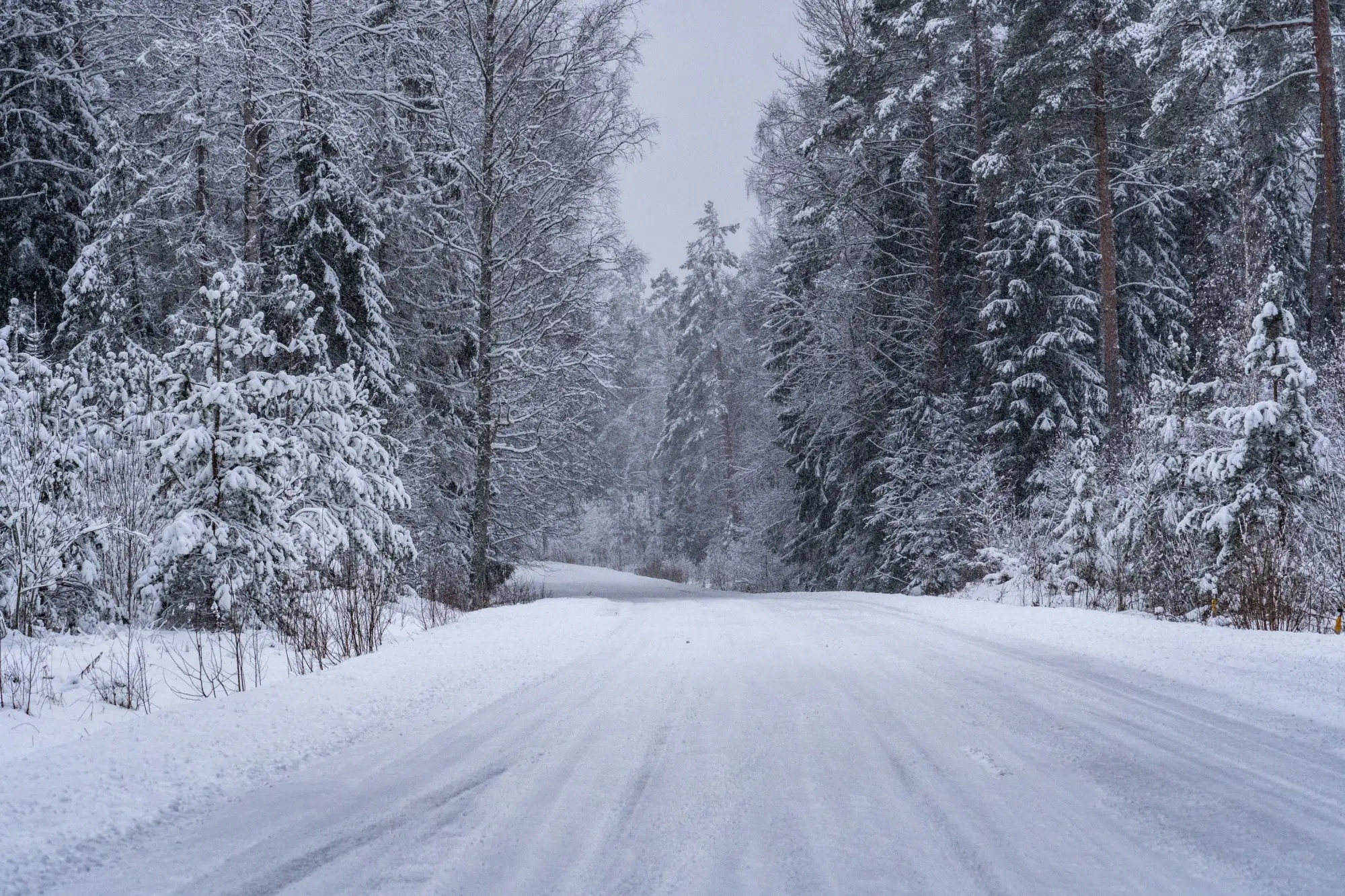 Zasněžená silnice