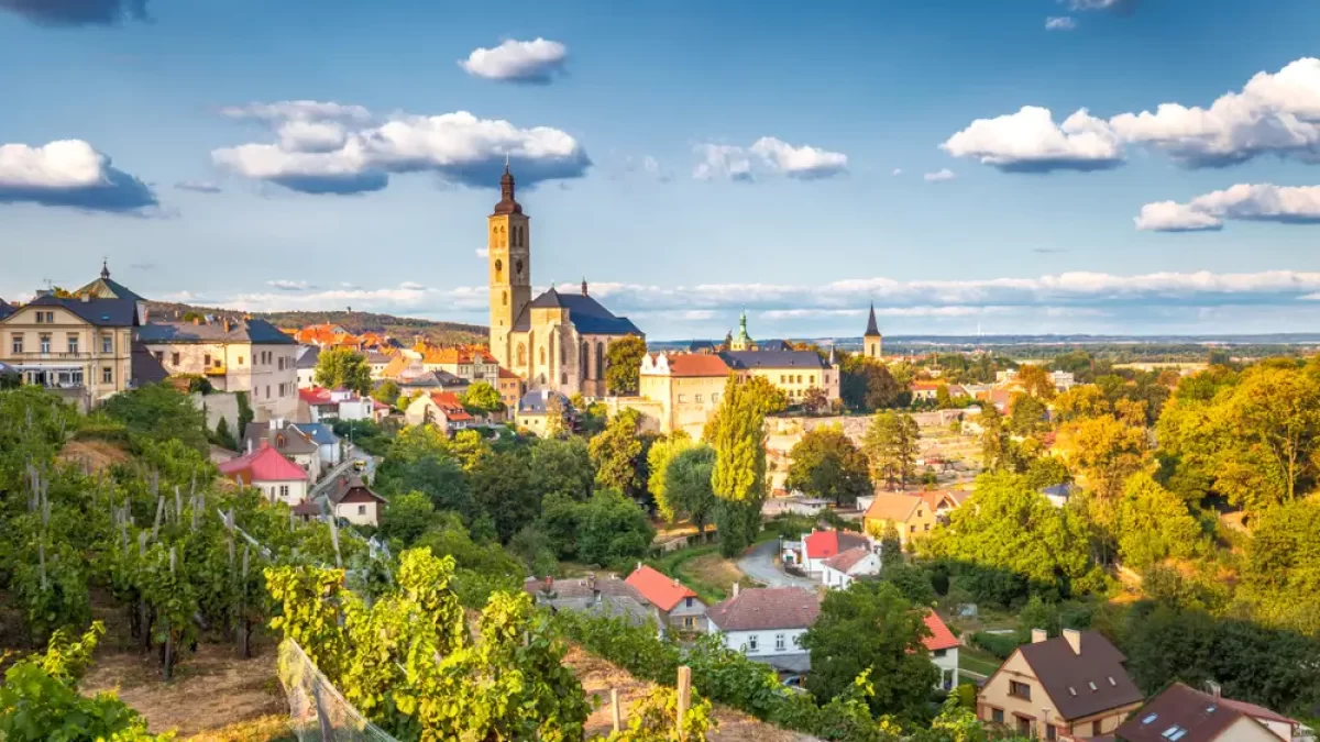 Pohled na město