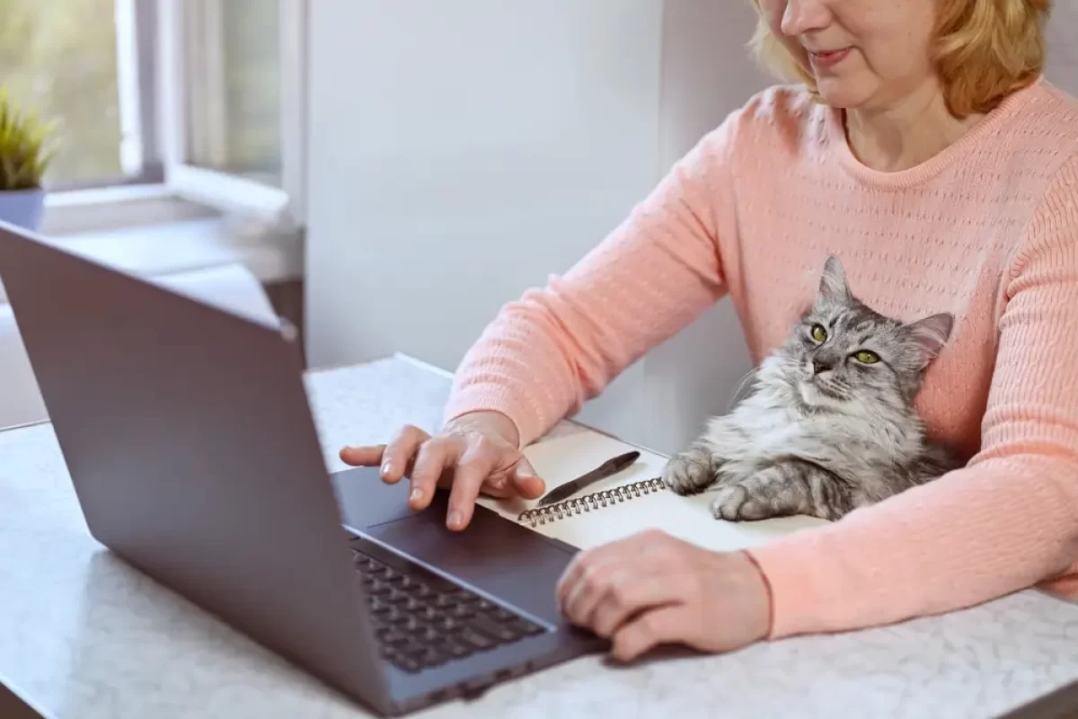 Žena pracuje na notebooku