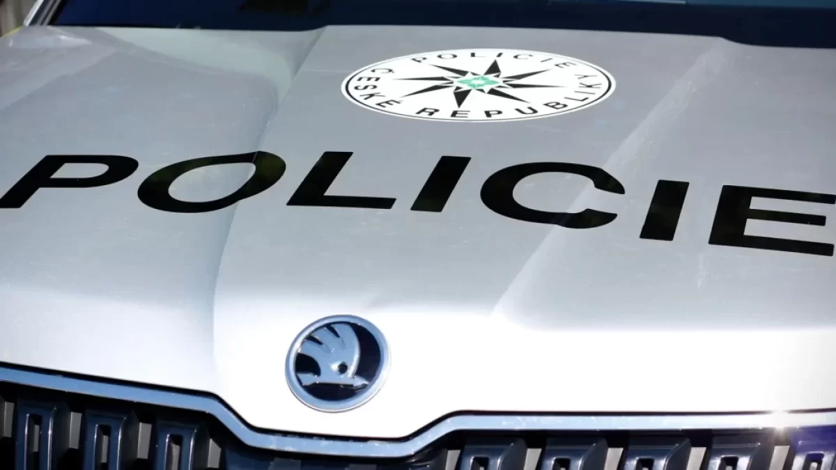 Policejní auto