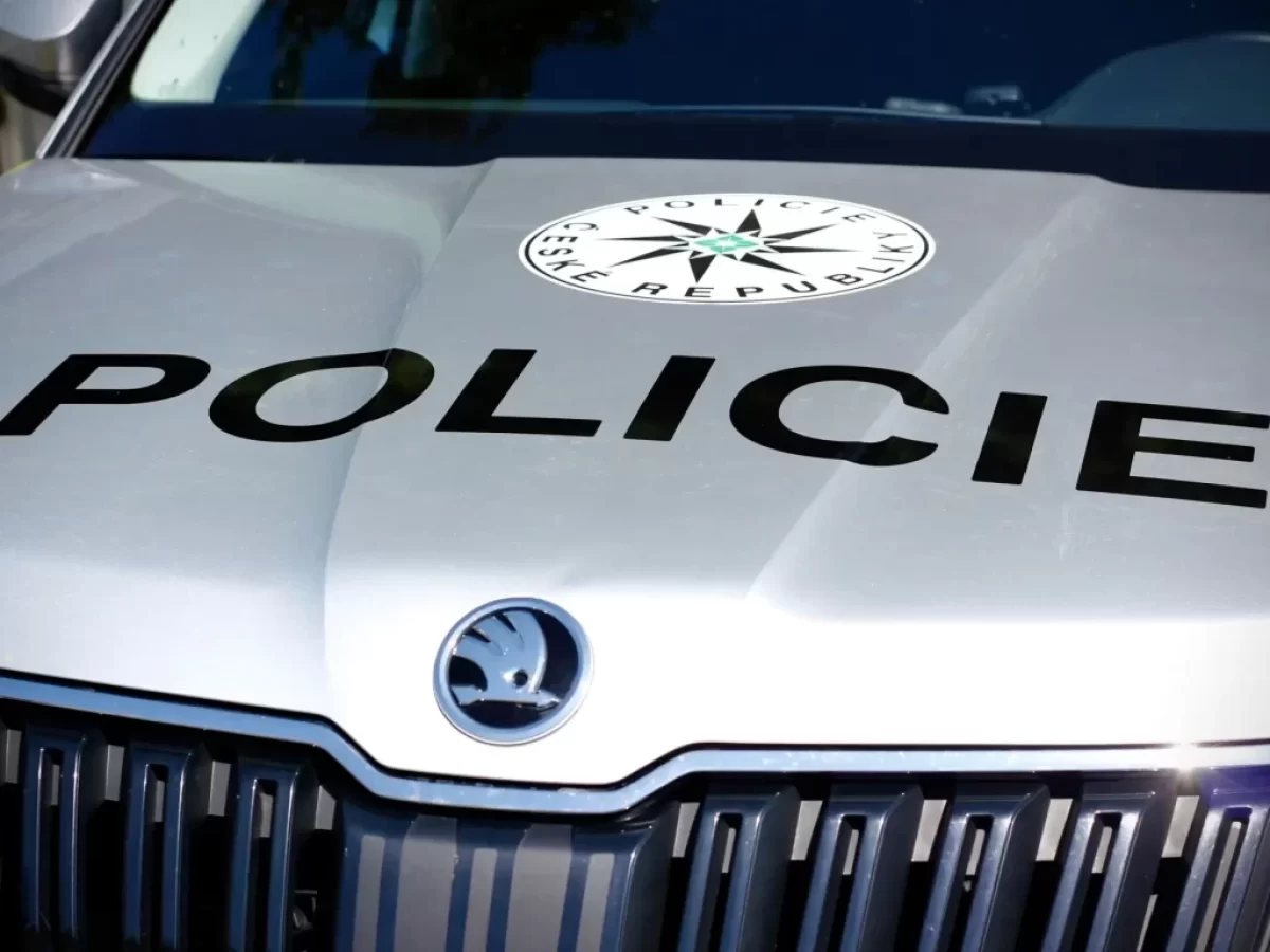 Policejní auto