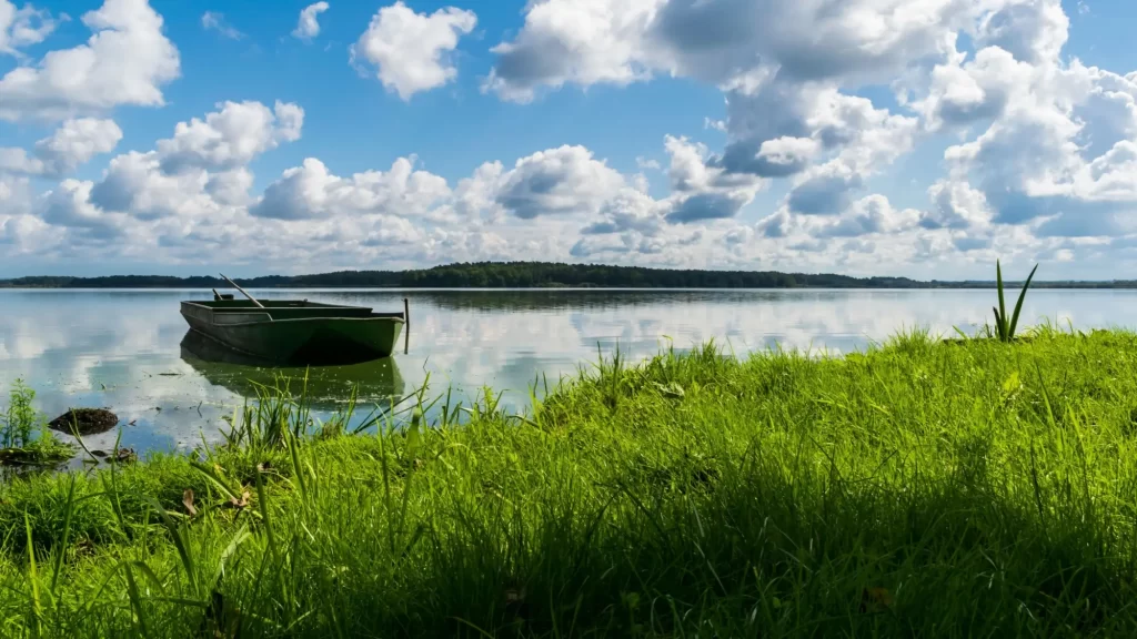 Shutterstock_2556287821 - Techsvět Rybník Třeboň