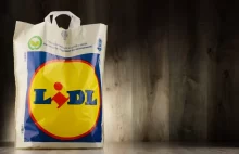 igelitka Lidl logo