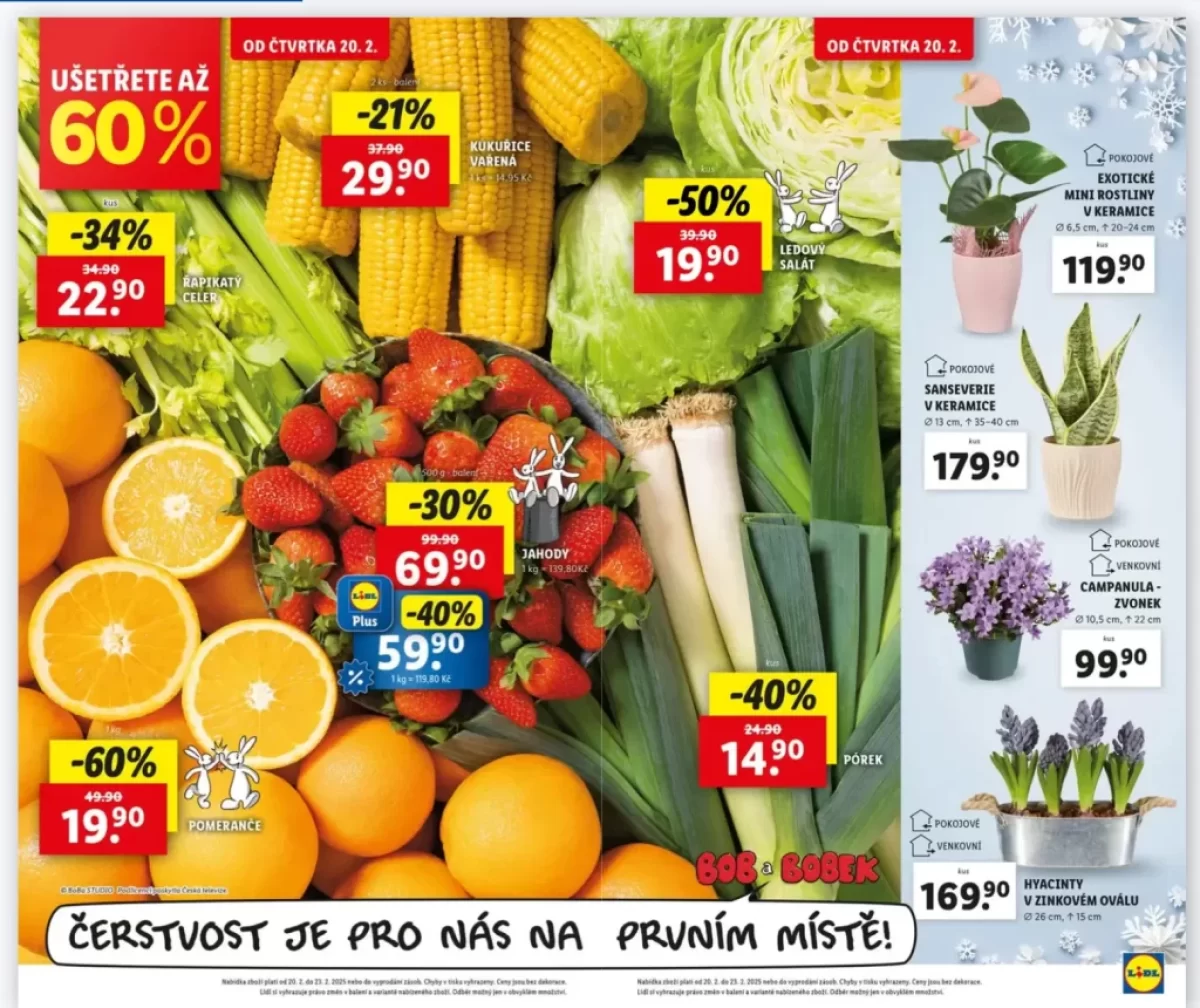 Lidl leták