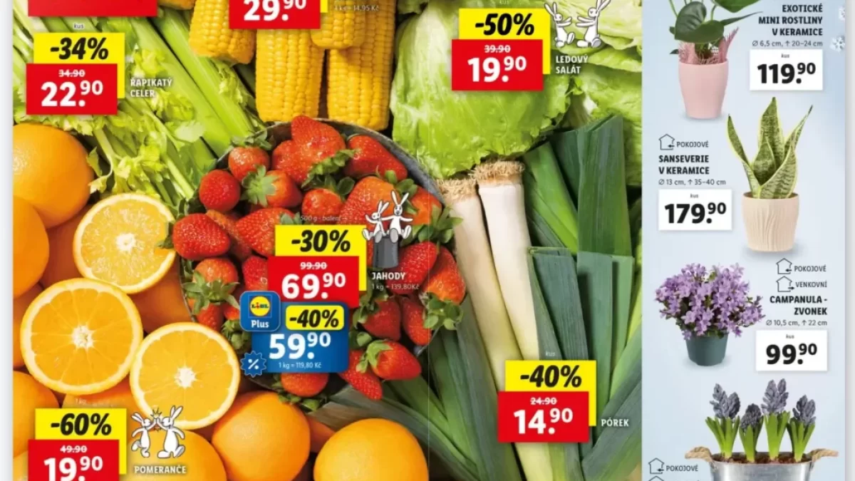 Lidl leták
