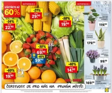 Lidl leták