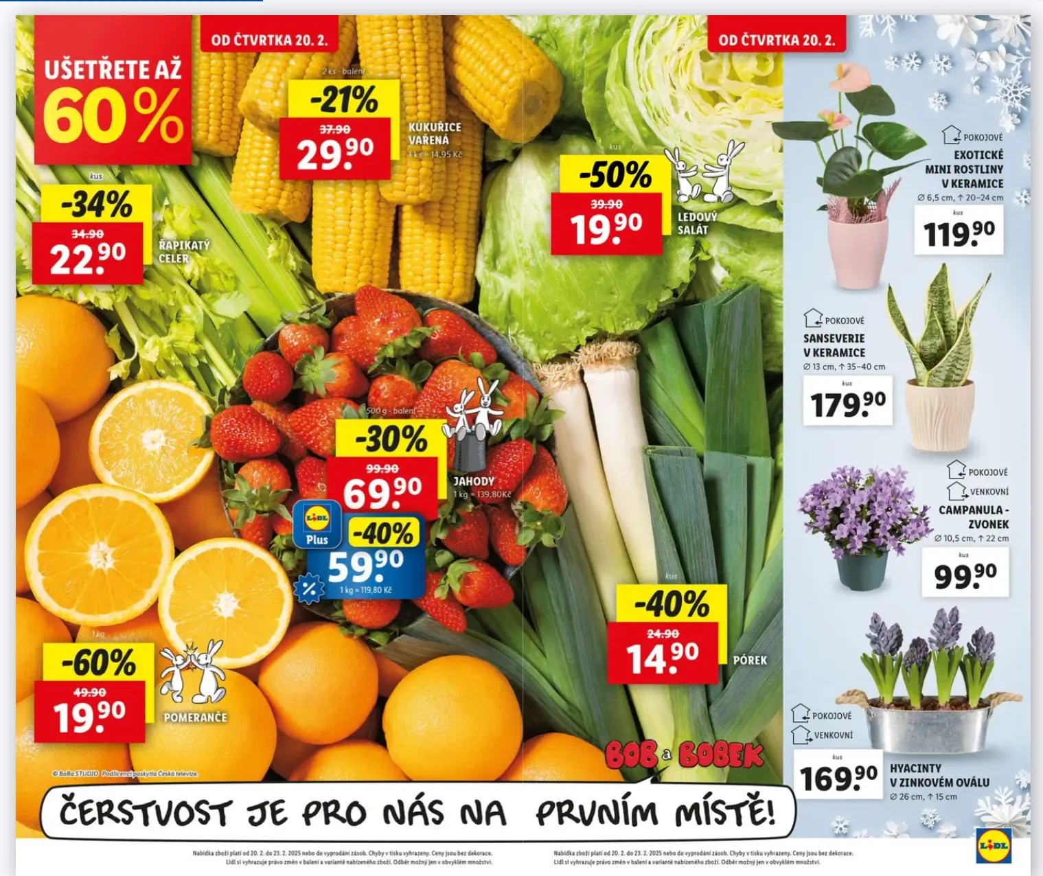 Lidl leták