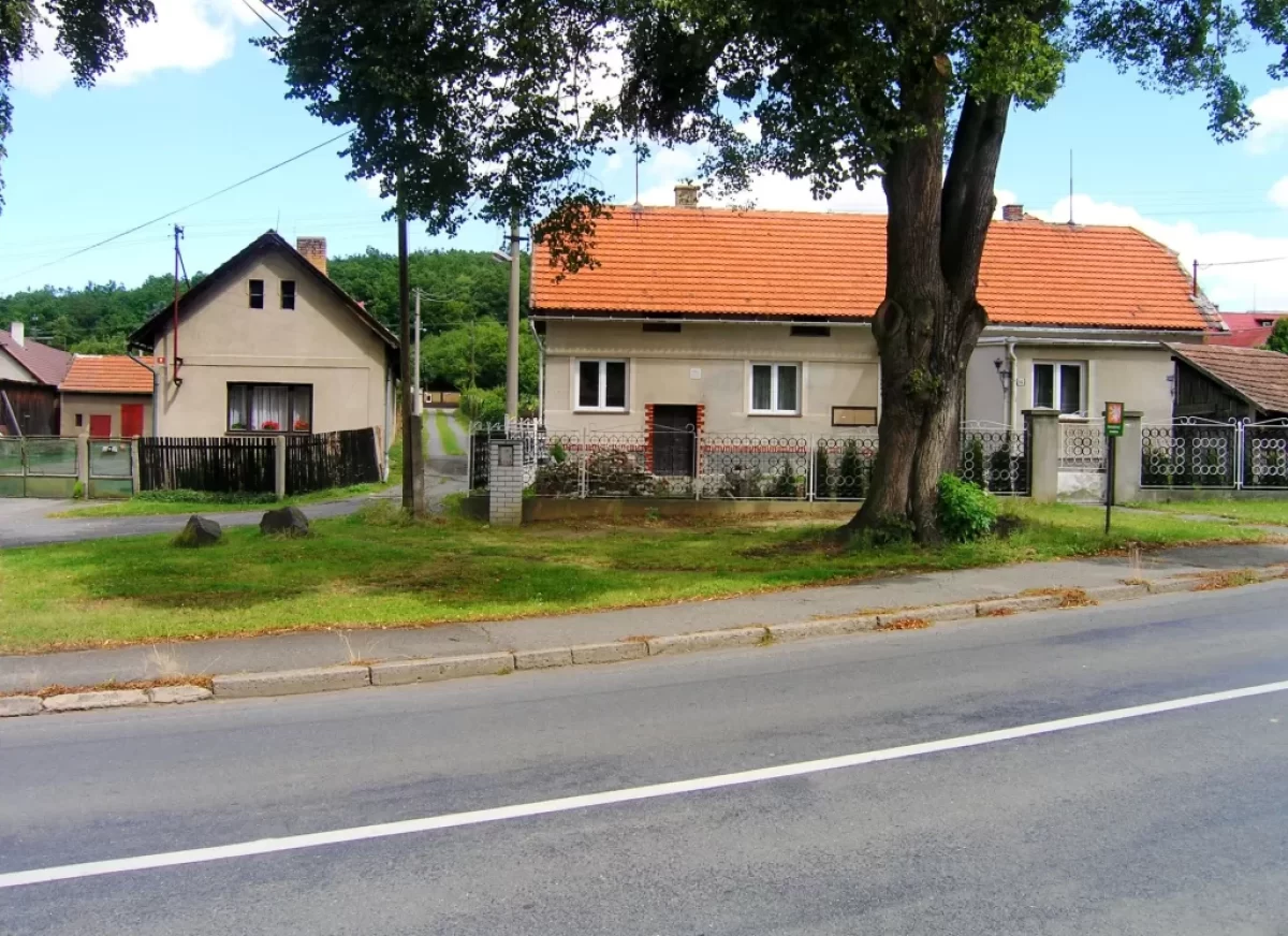 Chráněná lípa na návsi.