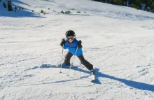 Lyže