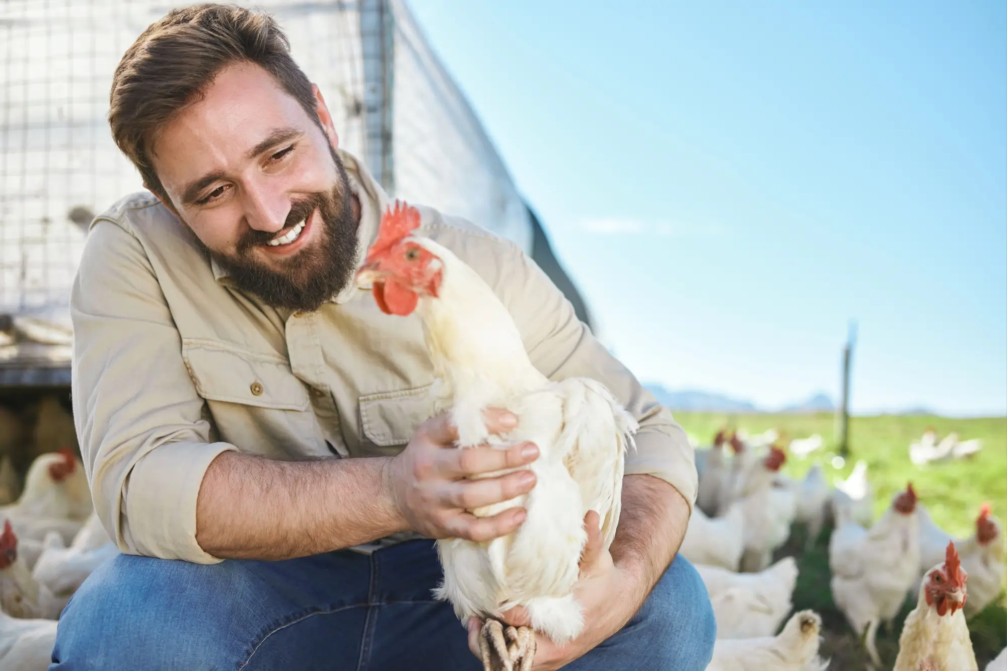 - Techsvět Farmář s kuřetem