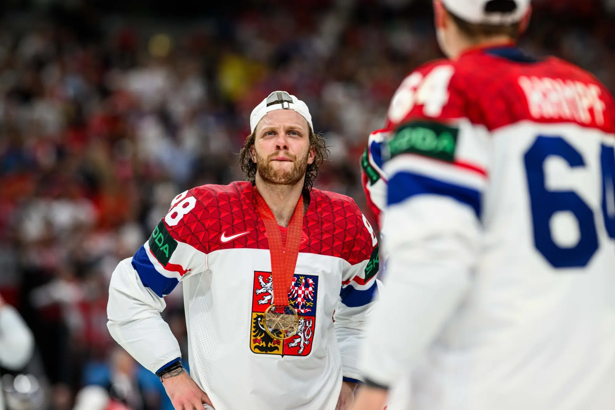 david pastrňák