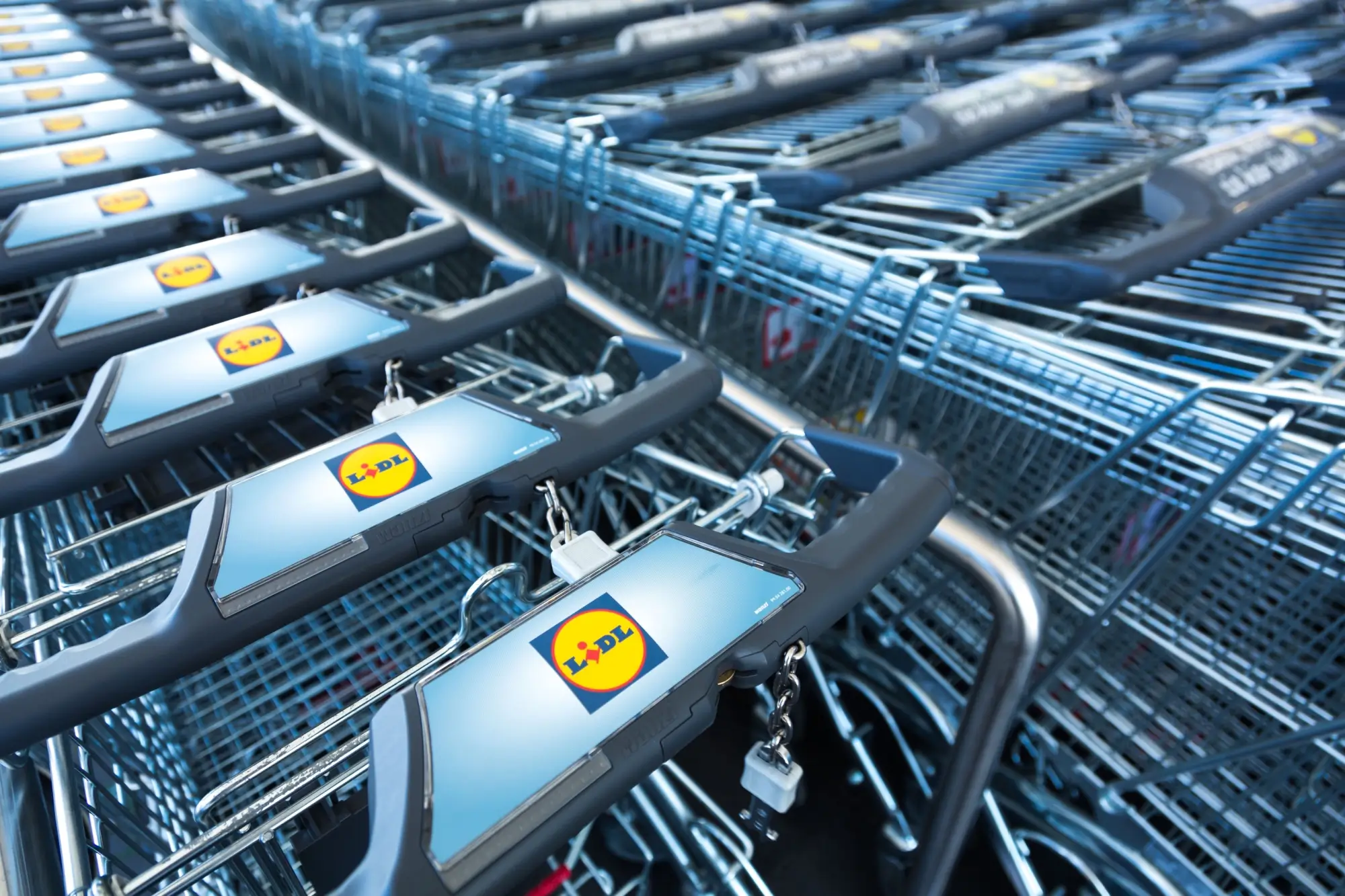 Logo řetězce Lidl