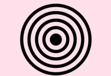 iq test