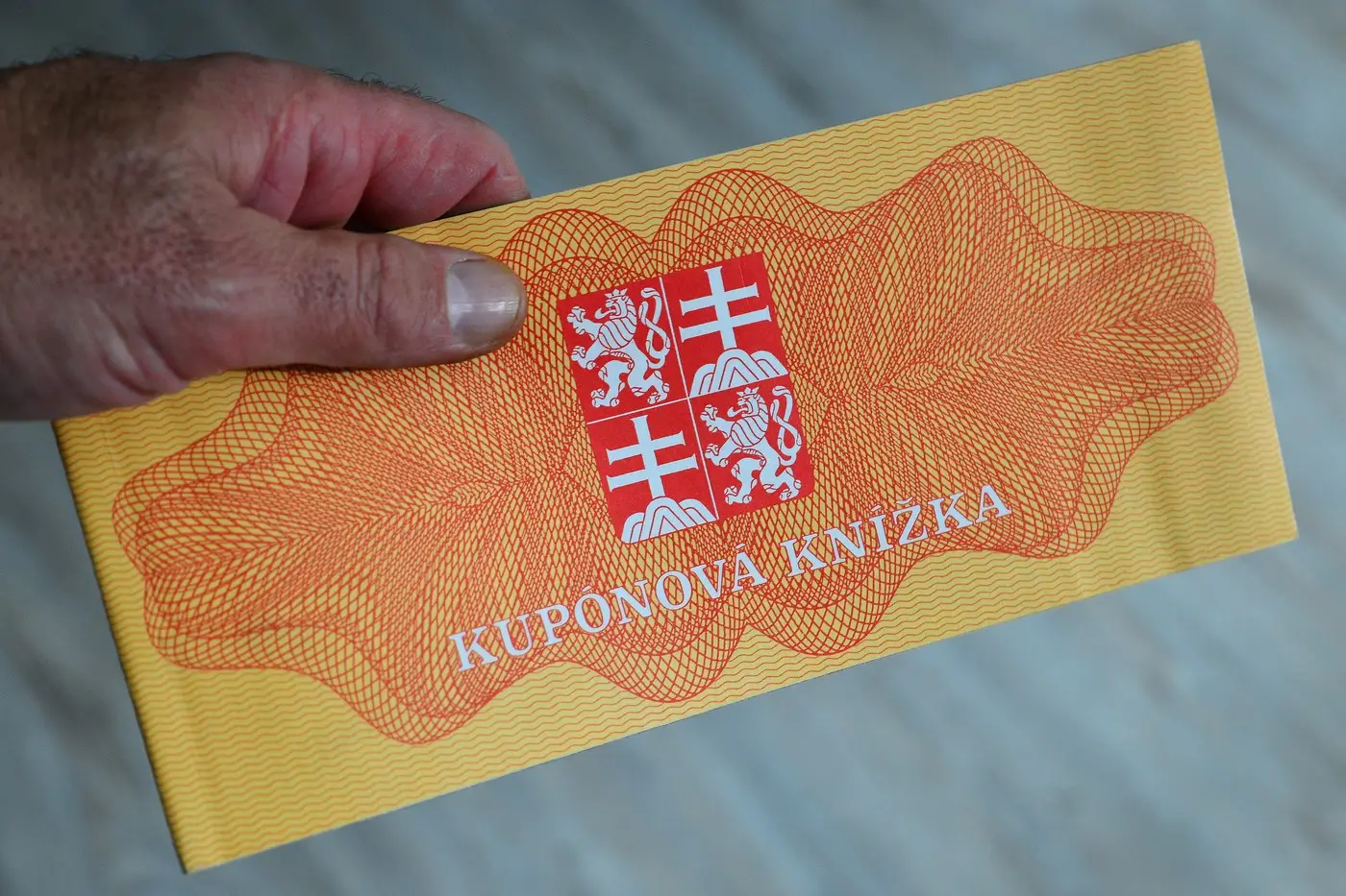 Kuponová privatizace