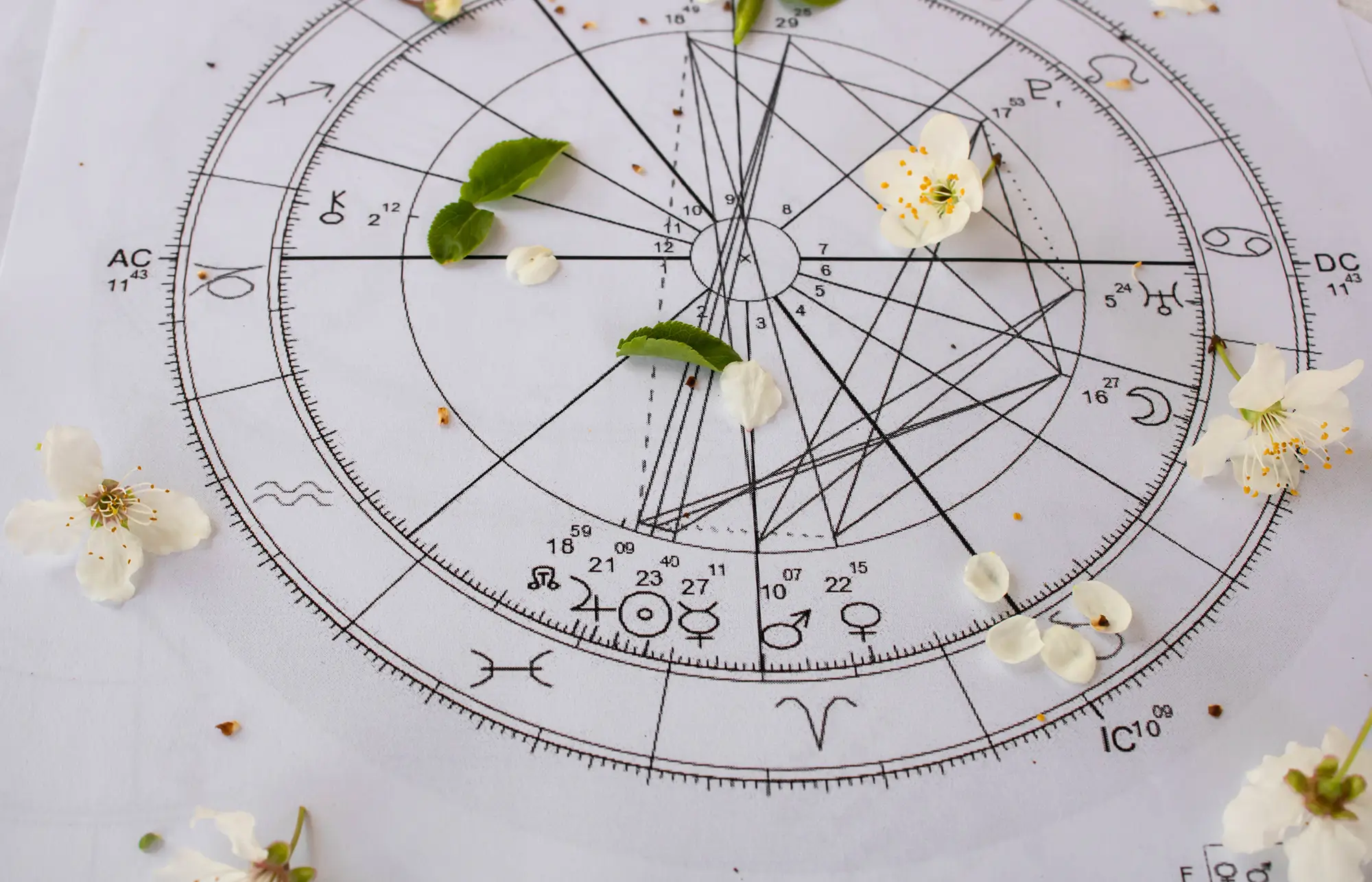 horoskop