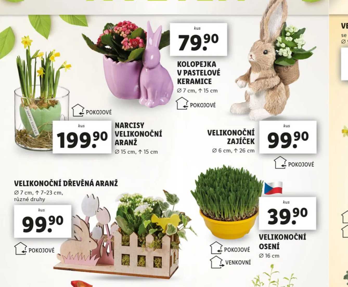 Lidl leták