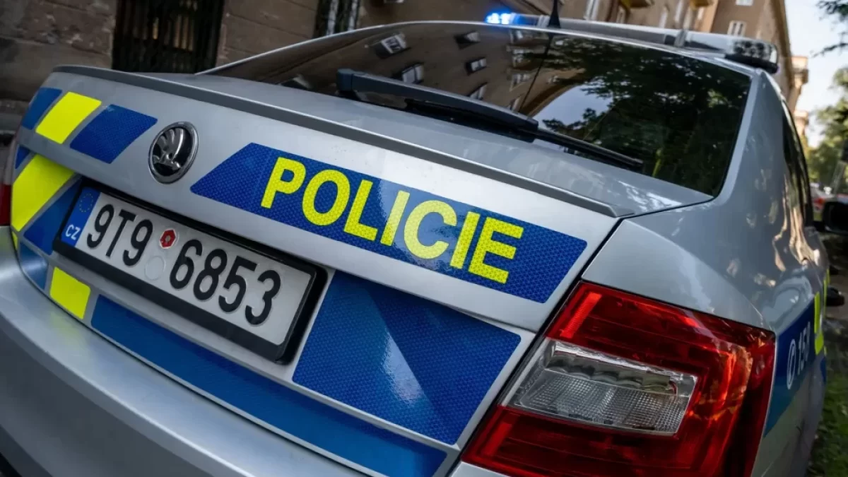 Policejní auto
