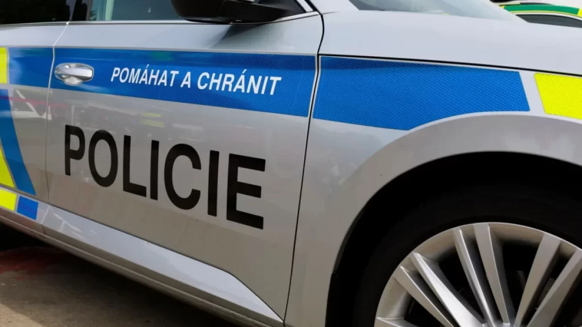 Policejní auto