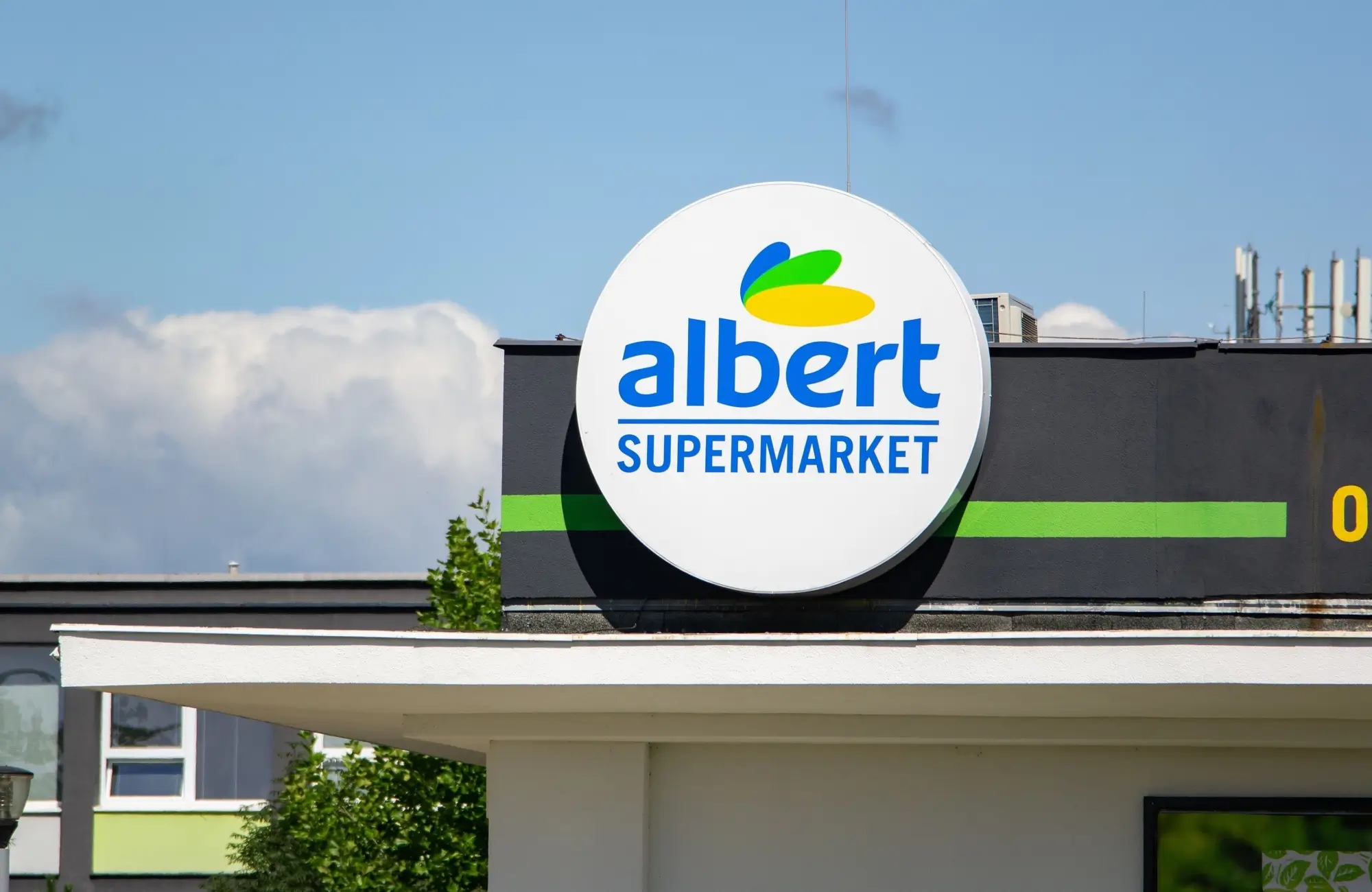 Albert