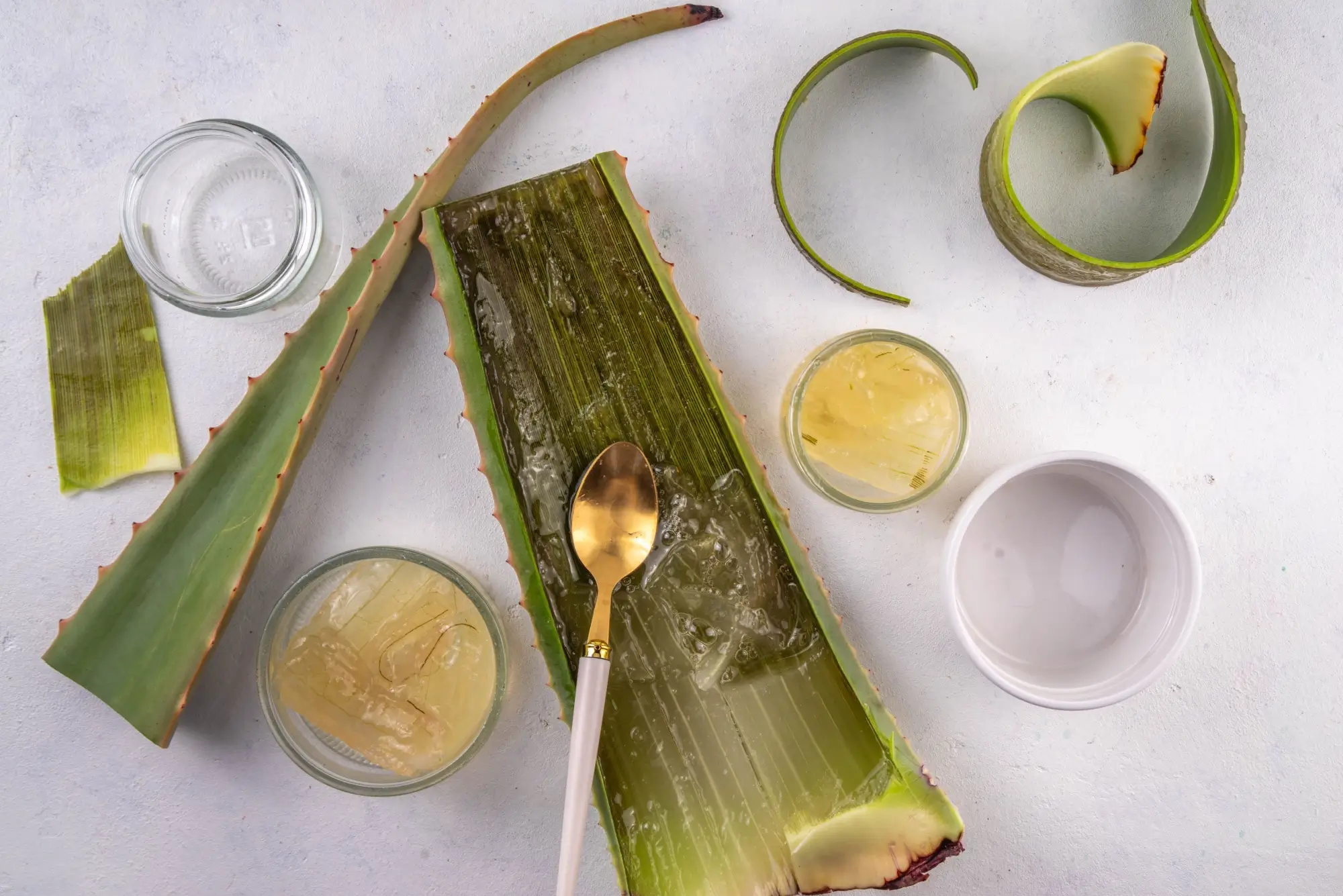 Shutterstock_2424574539 - Techsvět Gel aloe vera
