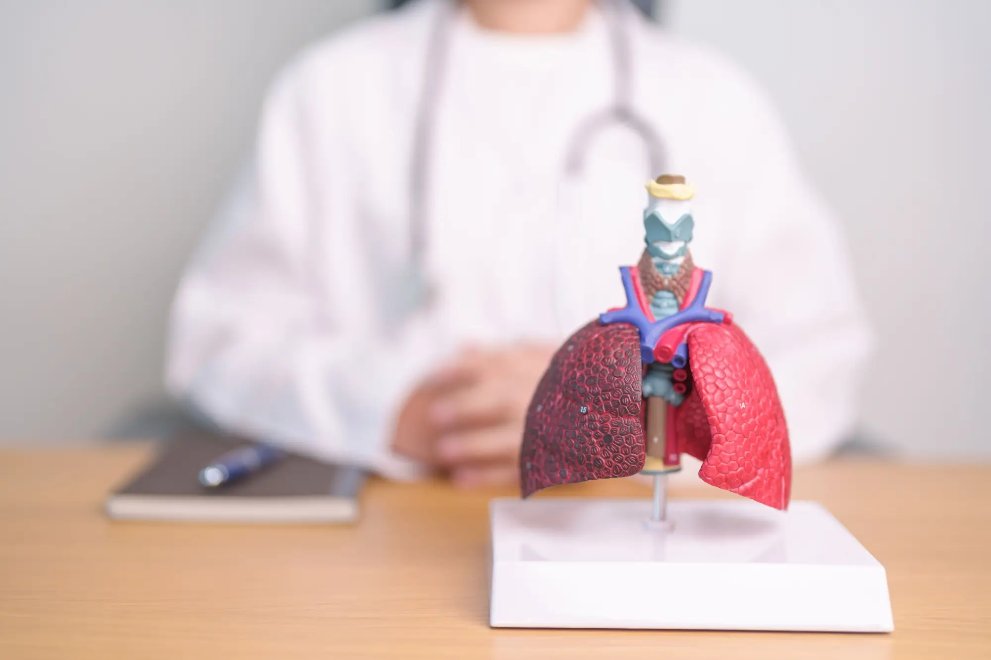- Techsvět Doktor s modelem plic