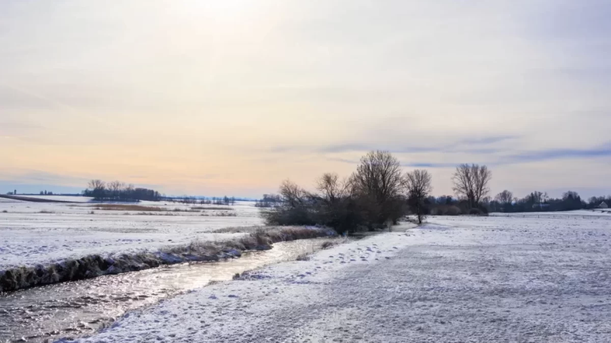 Zasněžená krajina