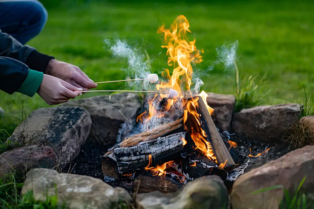Kromě buřtů se dají opékat nad ohněm i jablka nebo třeba marshmallows. - Techsvět děti opékají marsmallows nad ohněm