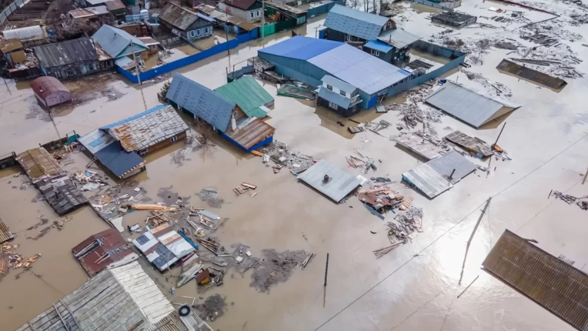 Letošní tsunami má překonat zkázu z roku 2011.