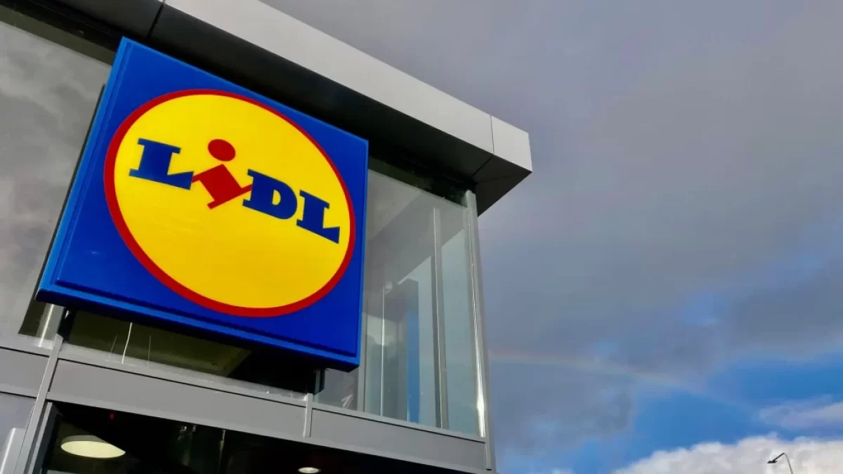 logo Lidlu