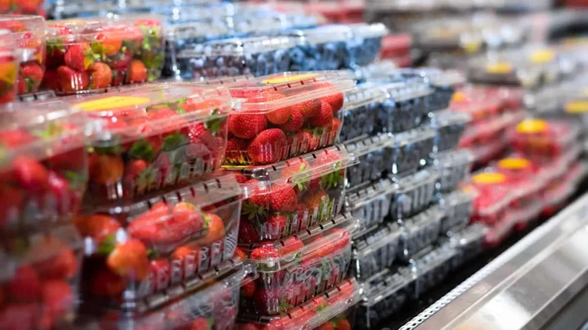 jahody v supermarketu