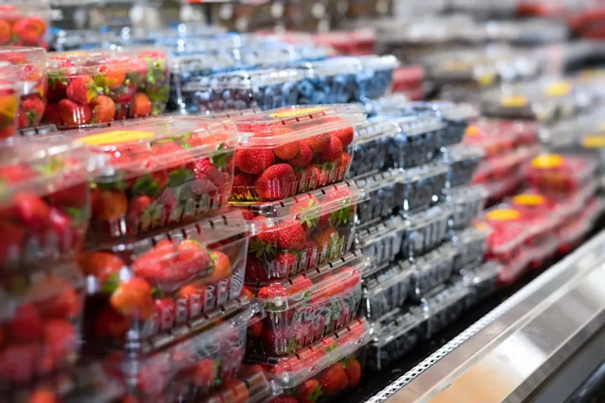 jahody v supermarketu