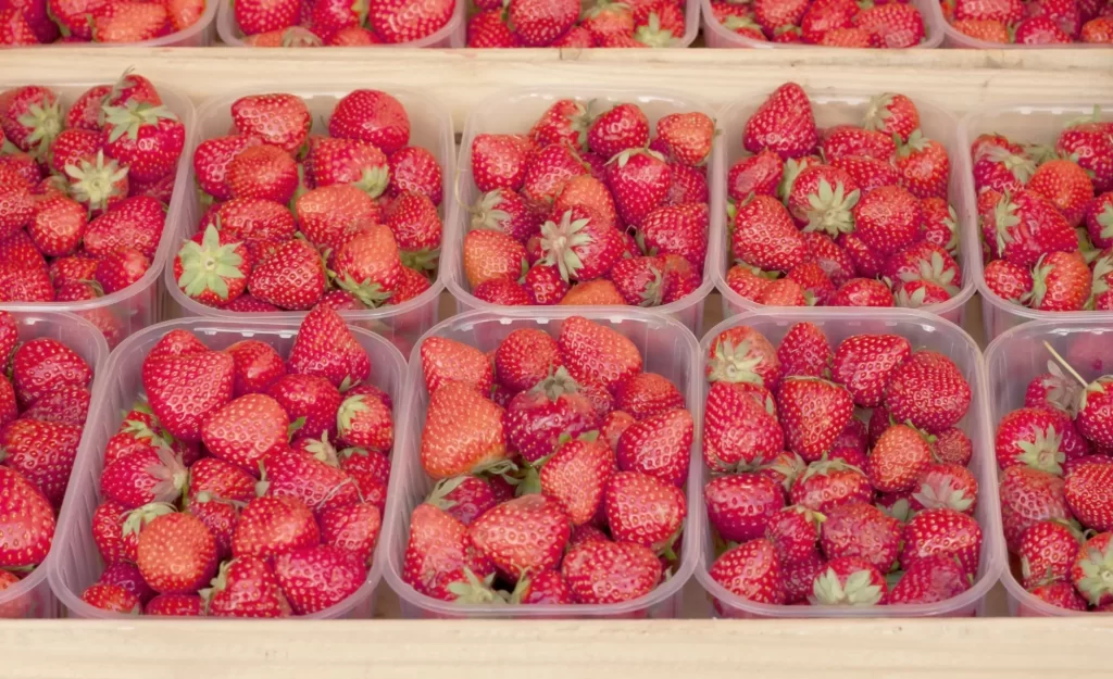 České jahody nemívají jednotnou barvu, FOTO: Shutterstock - Techsvět jahody v supermarketu