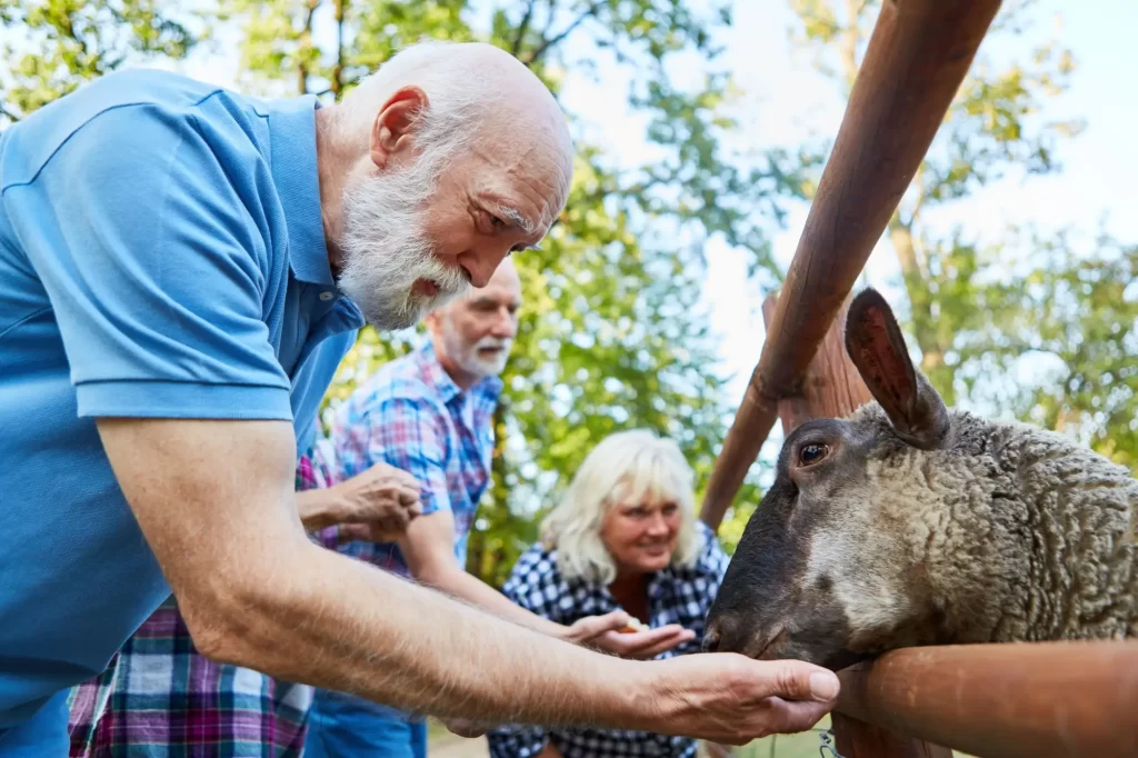 Shutterstock_1823846576 - Techsvět Důchodci s sebou mohou zdarma vzít i svoje malá vnoučata.