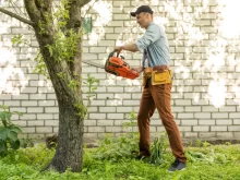 Muž kácí strom motorovou pilou