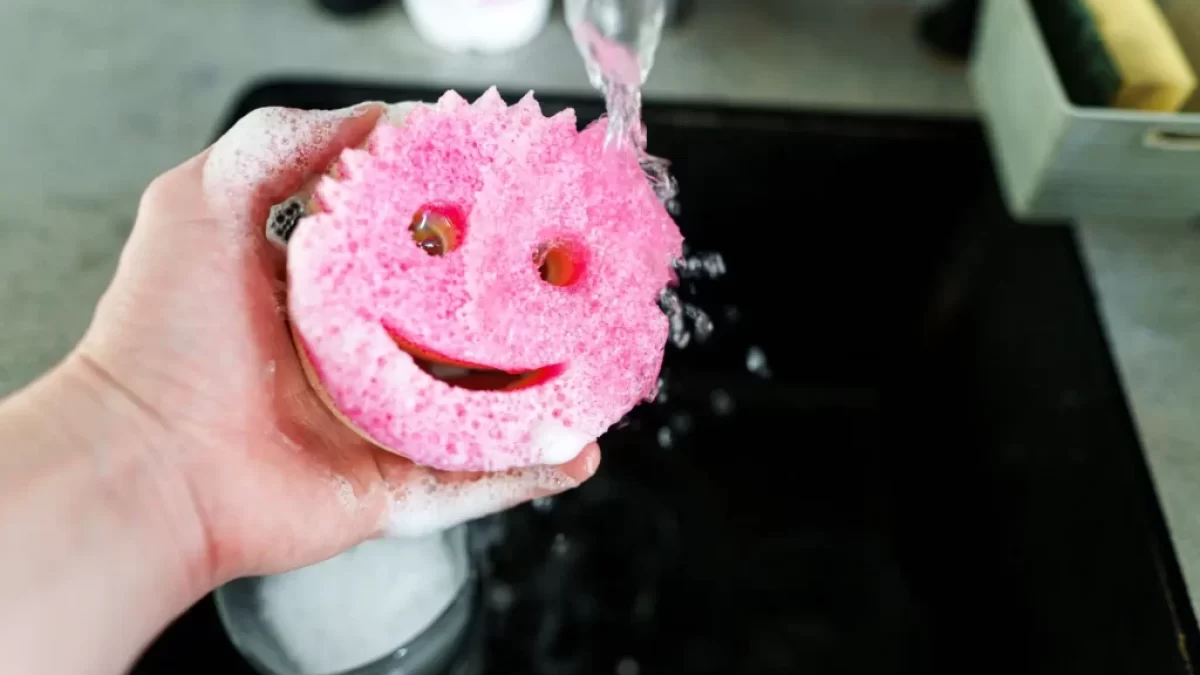 Magická houbička Scrub Daddy