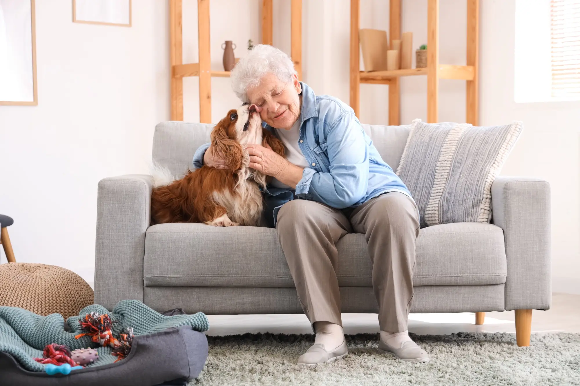 Shutterstock_2506085713 - Techsvět seniorka se psem