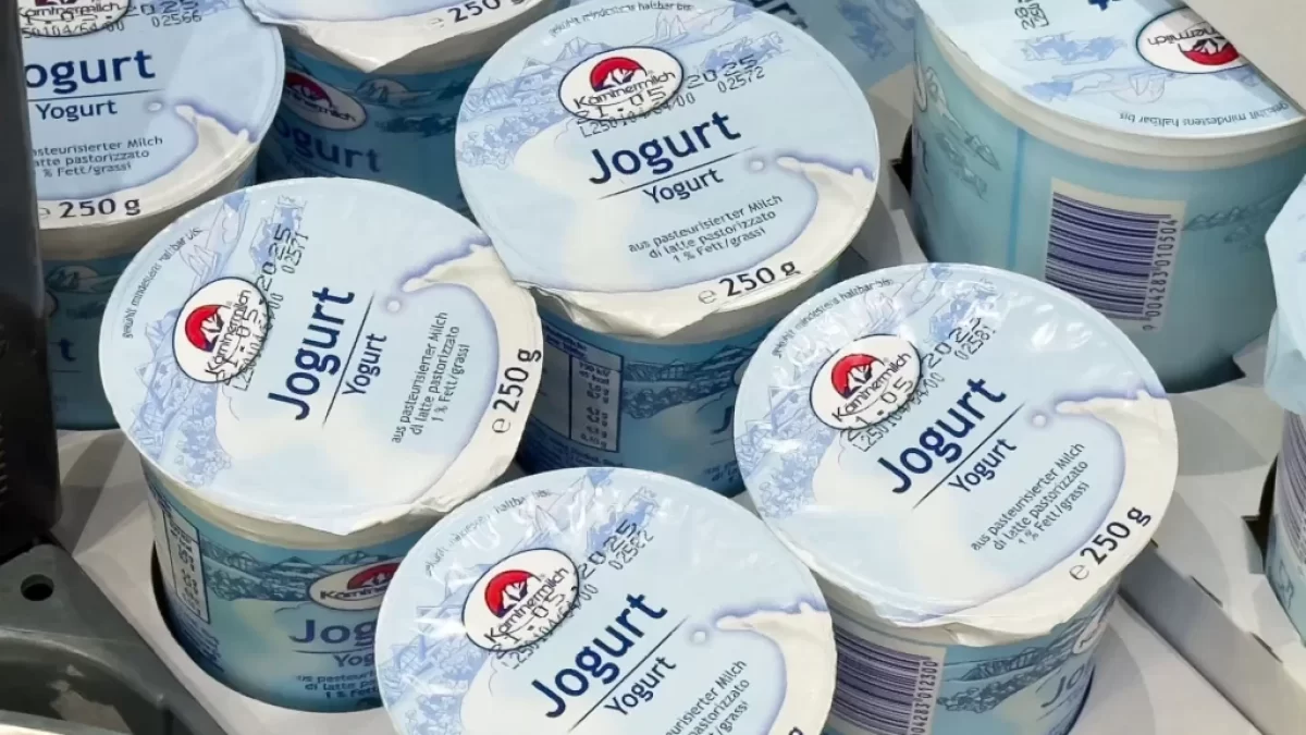 Bílé jogurty v obchodě